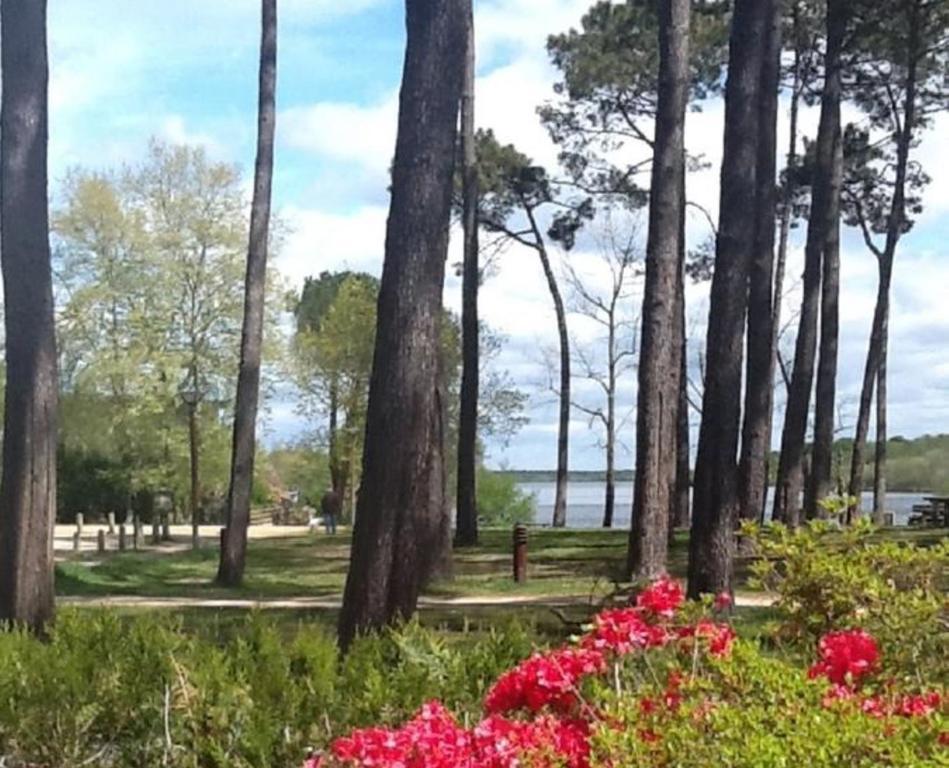 Hotel Au Bon Coin Du Lac Mimizan Luaran gambar